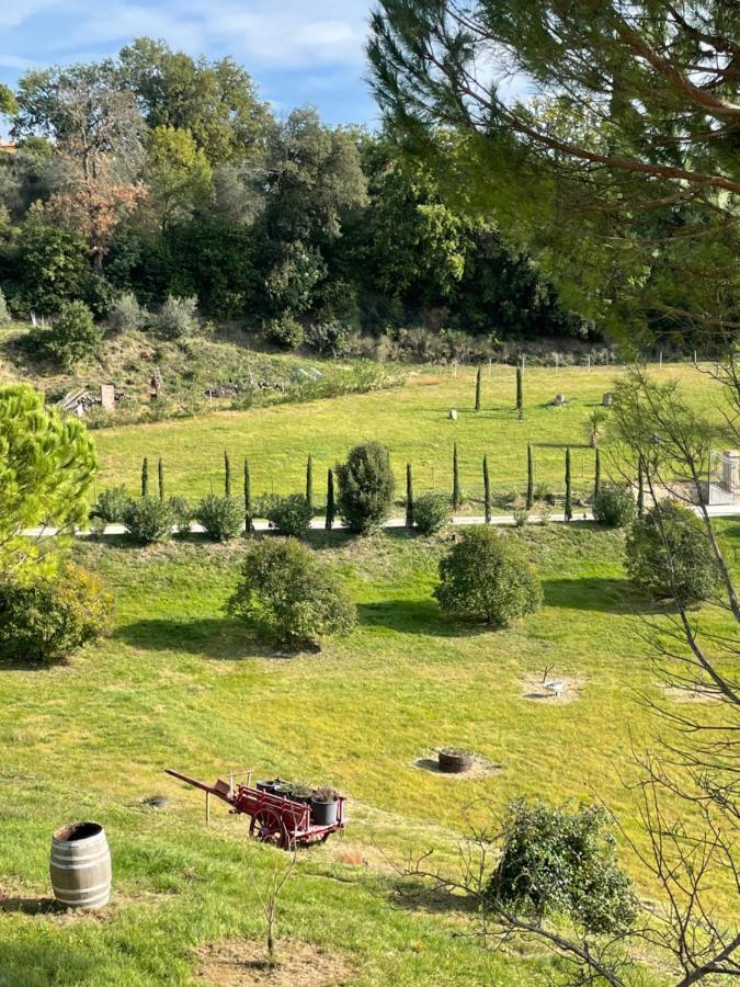 Resort Panoramico Canale Suite - Private Parking - Natural Park 西纳伦加 外观 照片
