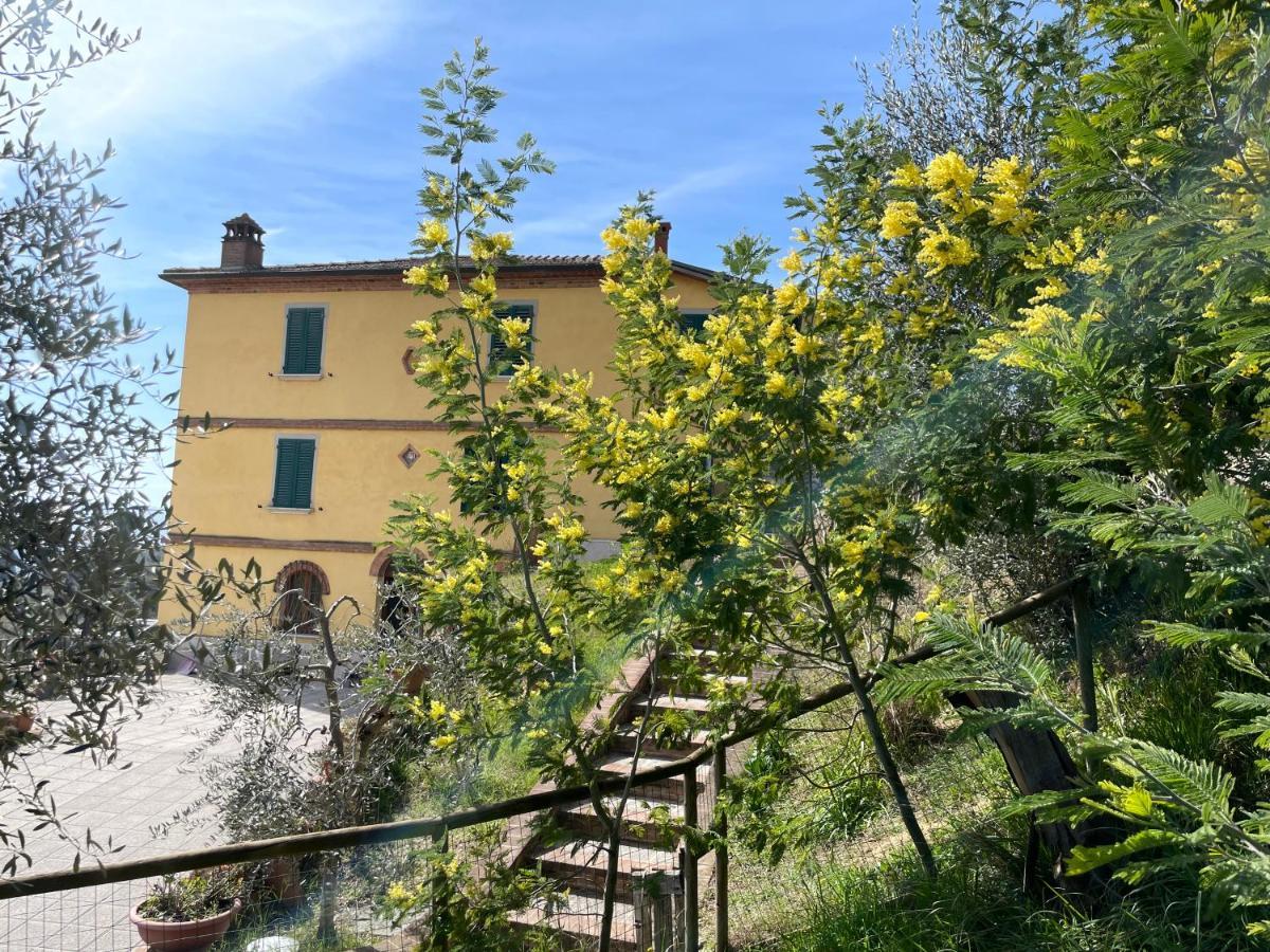 Resort Panoramico Canale Suite - Private Parking - Natural Park 西纳伦加 外观 照片